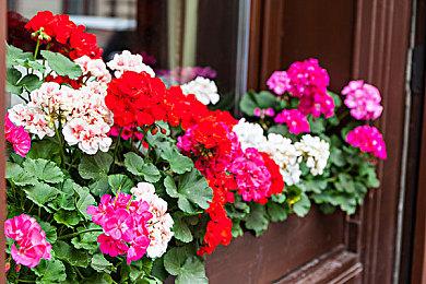 SEGA举办“夏日特卖” 优惠价入手人气作品