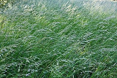 《你好邻居3》实机演示曝光 开启第二轮原型测试